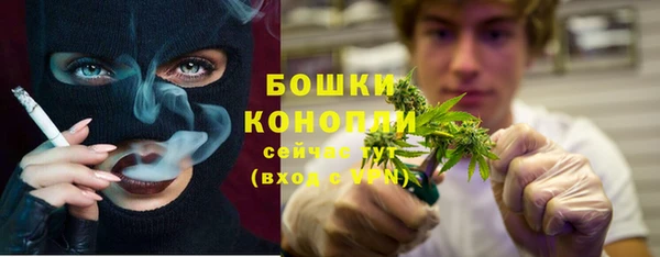 ALPHA PVP Богородицк