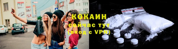 гашик Богданович