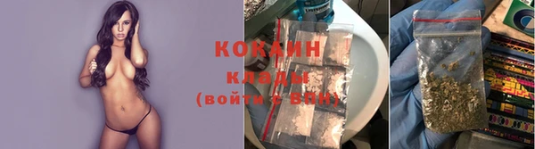 ALPHA PVP Богородицк