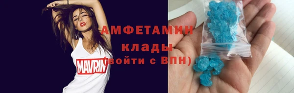 гашик Богданович