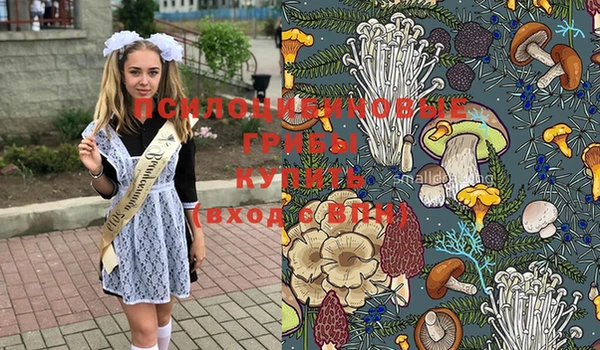 гашик Богданович