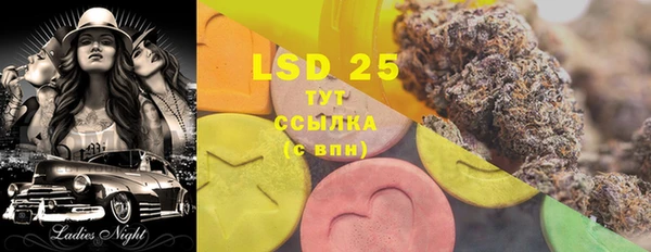 гашик Богданович