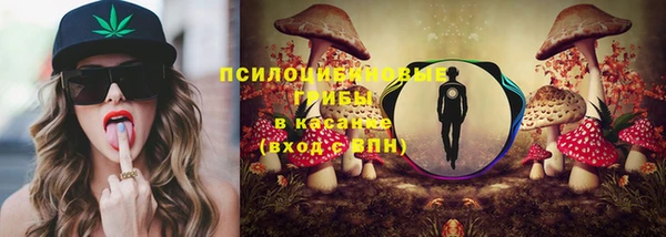 ALPHA PVP Богородицк