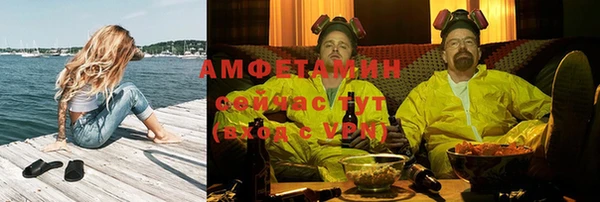 гашик Богданович
