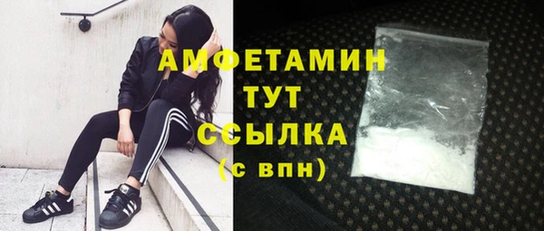 ALPHA PVP Богородицк