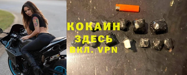 ALPHA PVP Богородицк