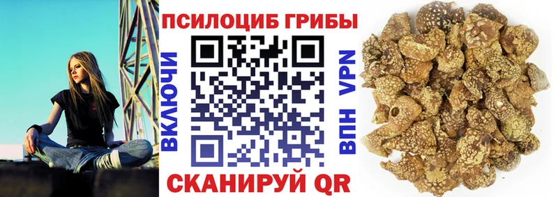 наркошоп  Крым  Галлюциногенные грибы прущие грибы 